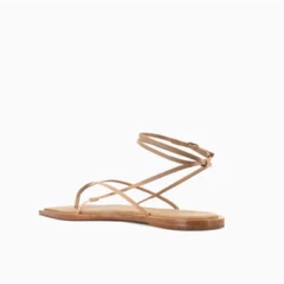 Studio Amelia Slingshot Nappa Leather Flat Sandals Beige Eu 36 / Us 6 Nwt — image 3 of 8